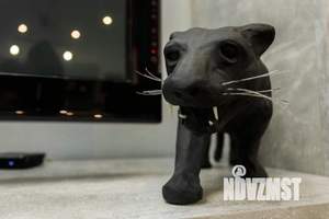 1-к квартира, посуточно, 37м2, 1/1 этаж