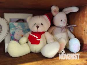 3-к квартира, посуточно, 75м2, 5/5 этаж