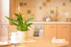 Студия квартира, на длительный срок, 40м2, 8/10 этаж