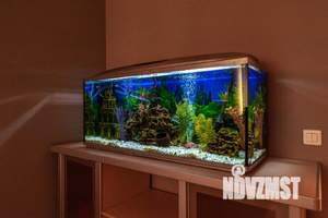 1-к квартира, посуточно, 55м2, 1/1 этаж