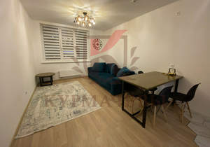 1-к квартира, на длительный срок, 42м2, 14/25 этаж