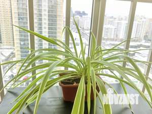 1-к квартира, посуточно, 80м2, 1/1 этаж