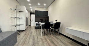 Студия квартира, на длительный срок, 25м2, 13/15 этаж