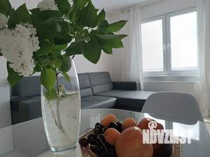 Студия квартира, посуточно, 22м2, 25/25 этаж