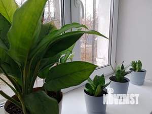 1-к квартира, посуточно, 30м2, 1/5 этаж