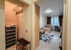 1-к квартира, на длительный срок, 37м2, 9/13 этаж