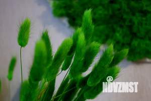 Студия квартира, посуточно, 24м2, 15/28 этаж