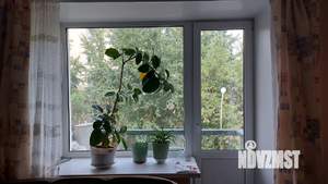 2-к квартира, на длительный срок, 43м2, 3/5 этаж