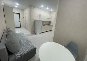 1-к квартира, на длительный срок, 24м2, 6/16 этаж