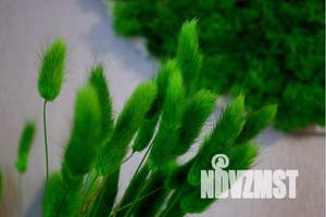 1-к квартира, посуточно, 24м2, 15/28 этаж