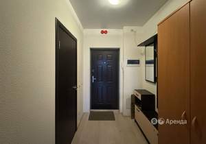 Студия квартира, на длительный срок, 28м2, 5/25 этаж