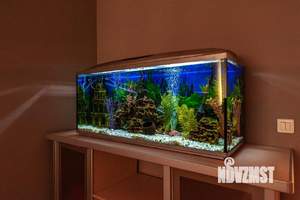 2-к квартира, посуточно, 55м2, 1/1 этаж