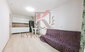 1-к квартира, на длительный срок, 32м2, 4/25 этаж