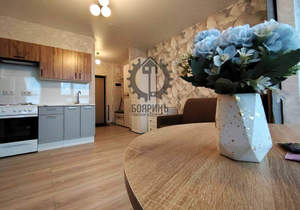 1-к квартира, на длительный срок, 22м2, 16/32 этаж