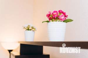 2-к квартира, посуточно, 52м2, 7/23 этаж