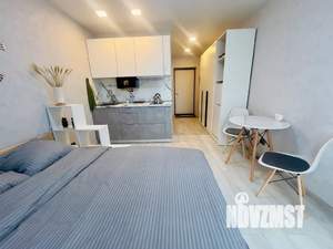Студия квартира, посуточно, 24м2, 7/24 этаж