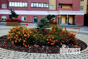 1-к квартира, посуточно, 43м2, 1/1 этаж