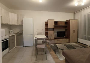 1-к квартира, на длительный срок, 37м2, 4/25 этаж