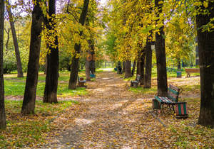 1-к квартира, вторичка, 33м2, 3/9 этаж