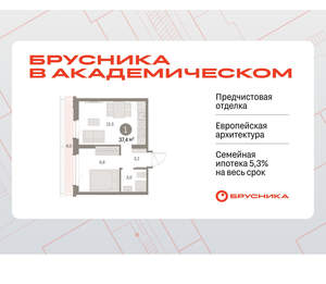 1-к квартира, вторичка, 37м2, 8/9 этаж