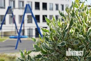 2-к квартира, строящийся дом, 55м2, 5/26 этаж