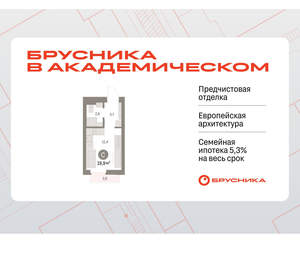 Студия квартира, вторичка, 20м2, 5/9 этаж
