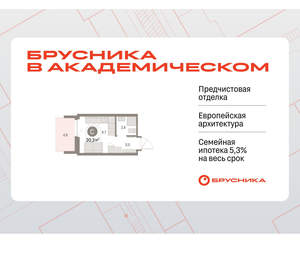 Студия квартира, вторичка, 20м2, 6/9 этаж