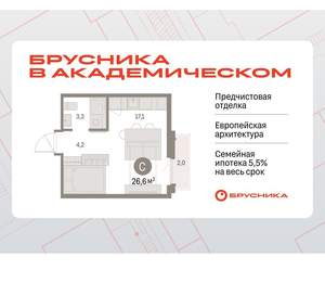 Студия квартира, вторичка, 27м2, 9/9 этаж