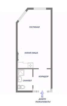 Студия квартира, вторичка, 25м2, 2/17 этаж