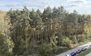 1-к квартира, вторичка, 44м2, 8/31 этаж