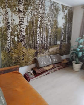 2-к квартира, вторичка, 48м2, 7/16 этаж