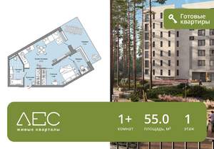 1-к квартира, сданный дом, 55м2, 1/8 этаж