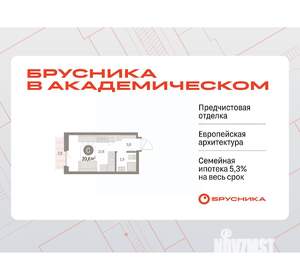 Студия квартира, вторичка, 21м2, 7/9 этаж