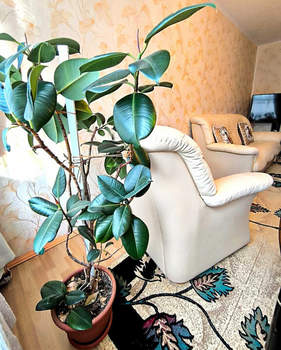 2-к квартира, вторичка, 53м2, 2/9 этаж