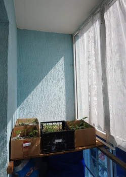 3-к квартира, вторичка, 71м2, 3/6 этаж