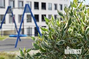 2-к квартира, вторичка, 57м2, 17/18 этаж