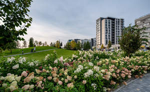 1-к квартира, вторичка, 37м2, 15/16 этаж