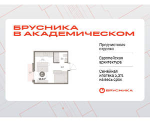 Студия квартира, вторичка, 27м2, 8/9 этаж