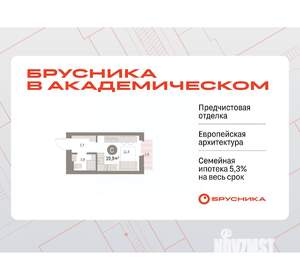 Студия квартира, вторичка, 20м2, 6/9 этаж