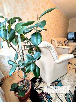 2-к квартира, вторичка, 53м2, 2/9 этаж