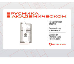 Студия квартира, вторичка, 20м2, 2/9 этаж