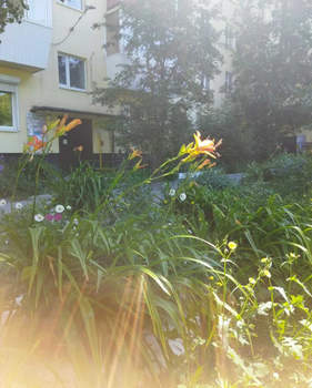1-к квартира, вторичка, 37м2, 3/9 этаж