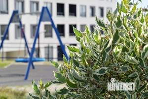 2-к квартира, вторичка, 55м2, 3/26 этаж