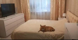 2-к квартира, вторичка, 41м2, 3/9 этаж