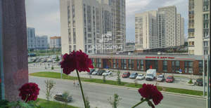 1-к квартира, вторичка, 35м2, 4/15 этаж