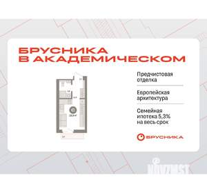 Студия квартира, вторичка, 20м2, 2/9 этаж