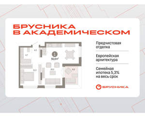 1-к квартира, вторичка, 55м2, 9/9 этаж