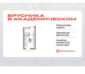 Студия квартира, вторичка, 20м2, 2/9 этаж