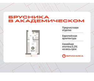 Студия квартира, вторичка, 20м2, 4/9 этаж