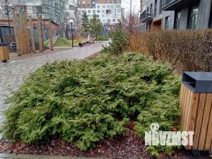 1-к квартира, вторичка, 31м2, 3/9 этаж